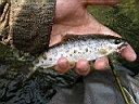 2007-07-03 149.JPG